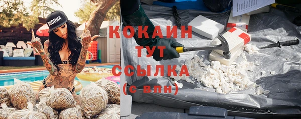 гидропоника Богородск