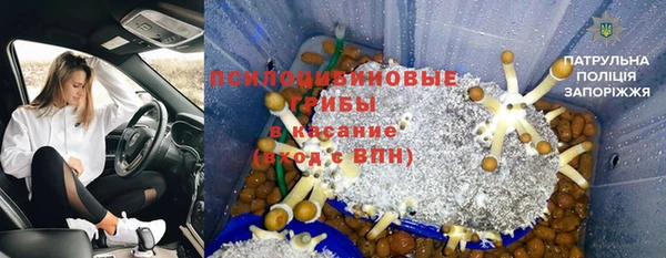 Альфа ПВП Богданович