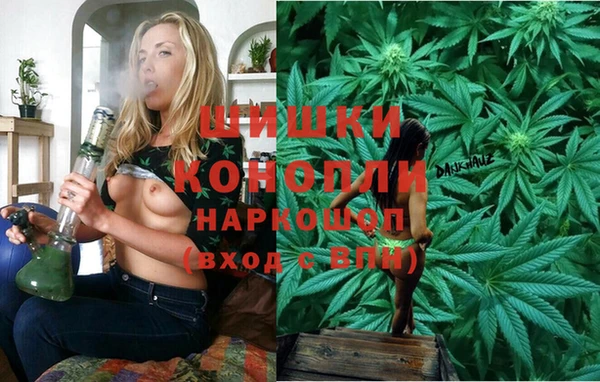 гидропоника Богородск