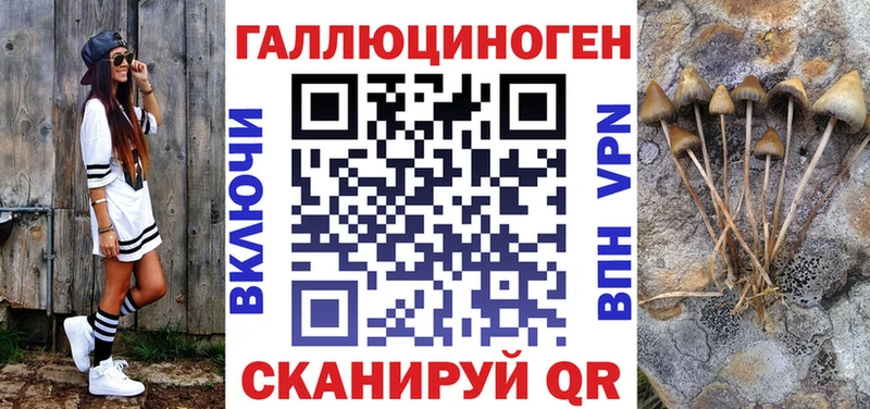 Галлюциногенные грибы GOLDEN TEACHER  Купить  Верхняя Пышма 